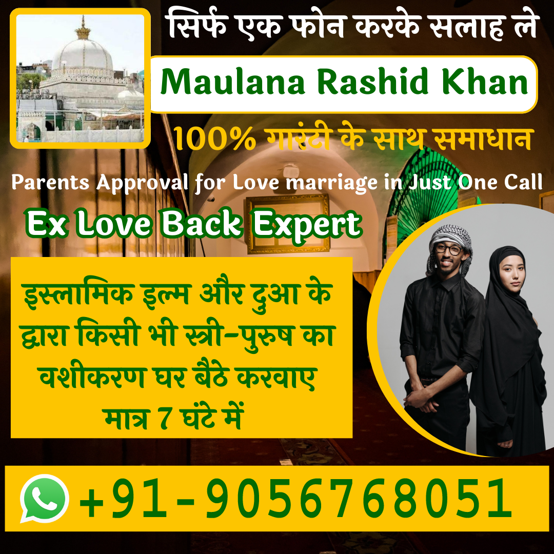ex love back expert